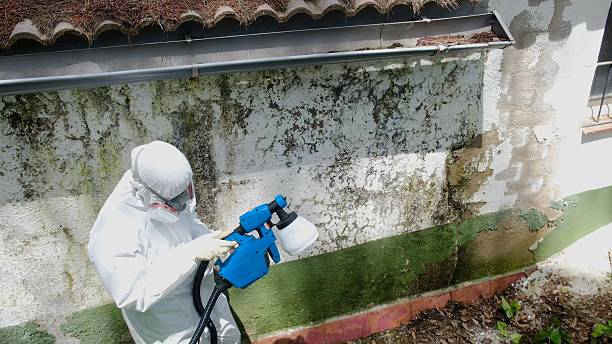 Top rated local Mold Remediation specialists in Fort Myer, VA